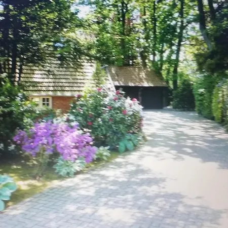 Morgensonne Westerstede