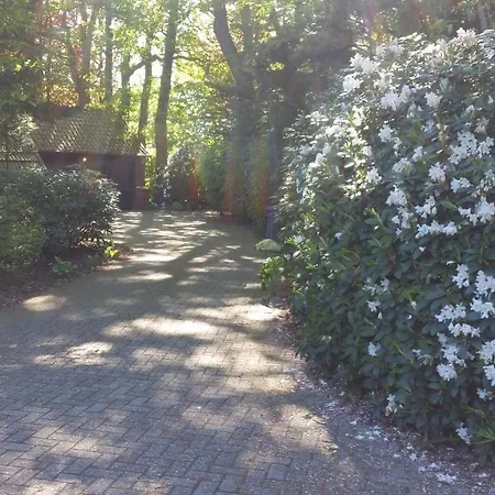 Lägenhet Morgensonne