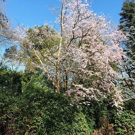 Appartement Morgensonne *