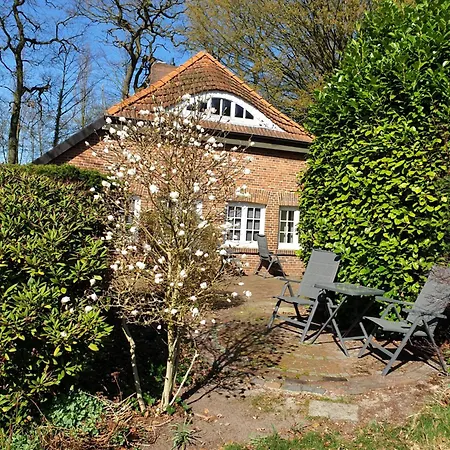 Morgensonne * Westerstede