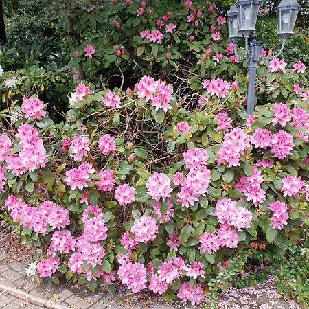 Appartement Morgensonne
