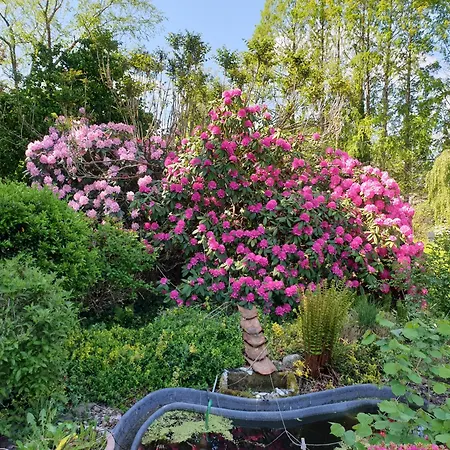 Morgensonne Appartement *