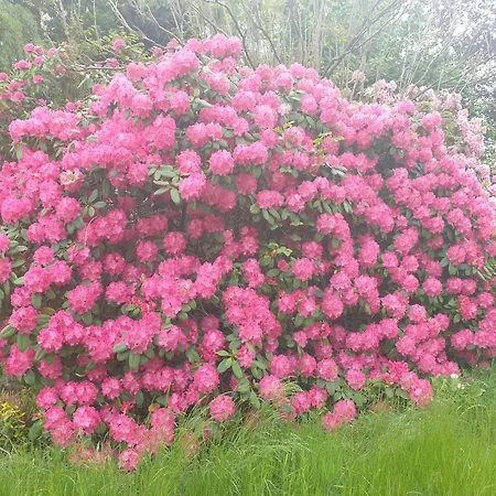 Lägenhet Morgensonne