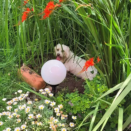 Morgensonne * Westerstede